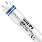 Philips Tubo LED T8 MASTER (HF) High Output 8W 1000lm - 865 Luce del Giorno | 60cm - Sostitutiva 18W