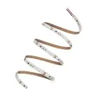 Ledvance Strisce LED Performance 60W 6600lm 24v - 930 Luce Calda -  | 5M/8mm - Miglior Resa Cromatica